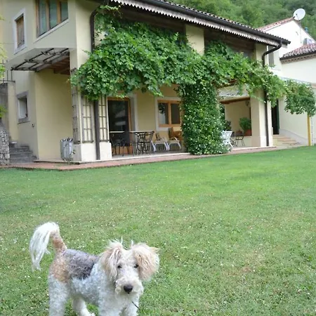 Ca' Dell'ortolan Bed & Breakfast *